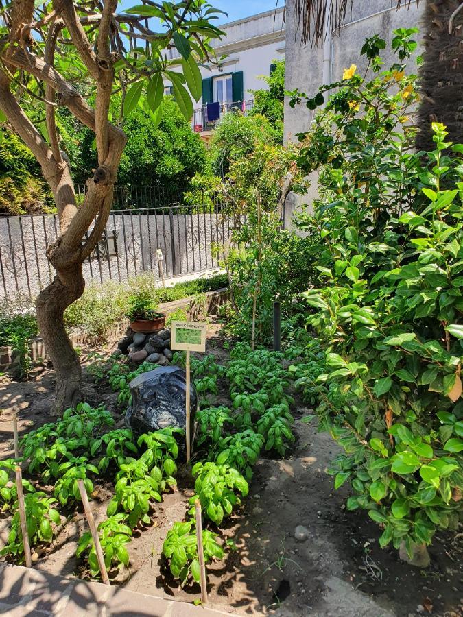 Casa Dafne Villa Lipari  Bagian luar foto